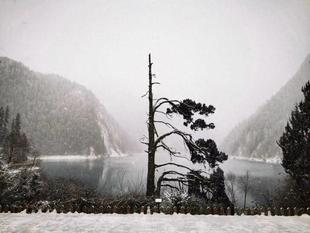 九寨沟景区：严禁一切非法穿越行为，如造成人身伤亡或财产损失，将自行承担全部责任