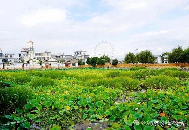 2025大理诗歌季·最早叫云南的地方·《诗刊》社第41届青春诗会暨“青海湖之恋”七夕系列活动准备就绪