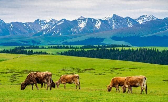 中国自然风光天花板级的四大省份是这4个，云南第3，你同意吗？