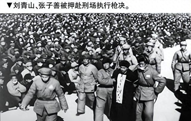 刘青山被枪毙40年后，他亲弟弟公开发言：对毛主席的决定作出评价