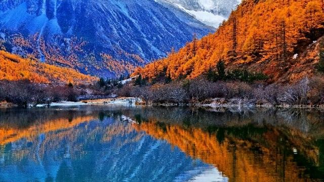 直接封神！你永远可以相信稻城亚丁的秋天