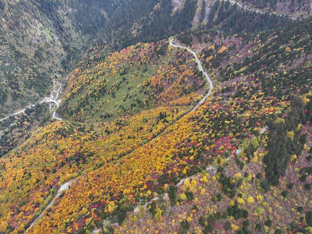 西藏林芝：色季拉山秋色浓