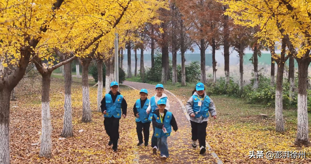砀山：初冬的迈瑞大道美翻了！
