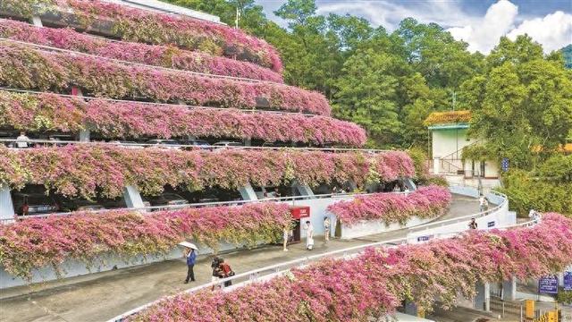 粉黛倾城 车场焕新