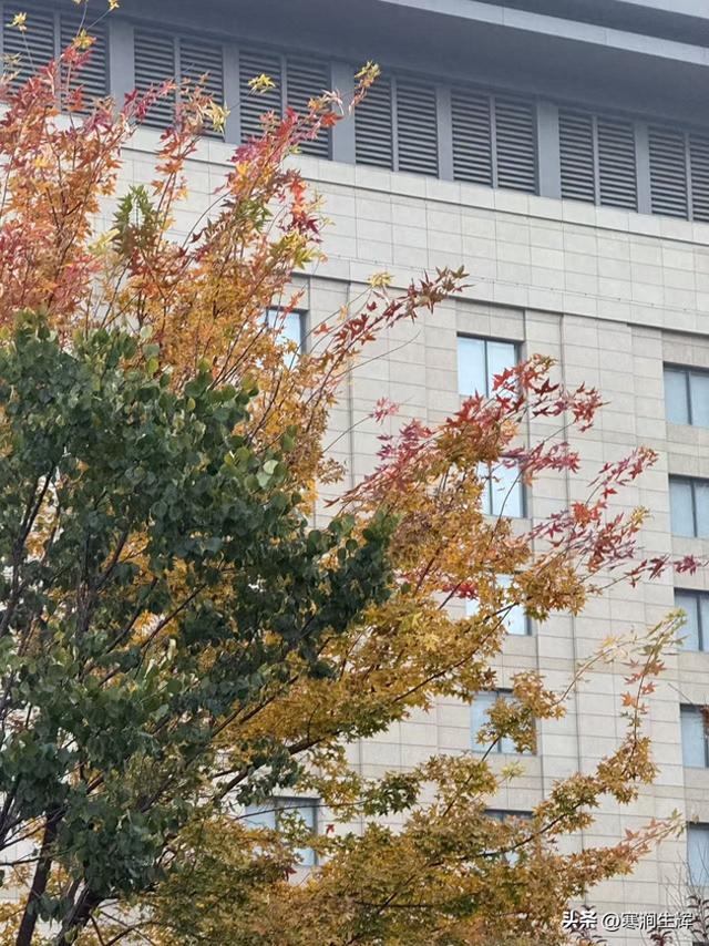 遐的组词有哪些（诗经小雅6天保诗经札记165）