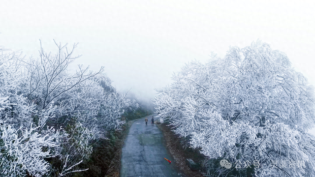 兴安限定版“冰雪奇缘”惊艳上线→