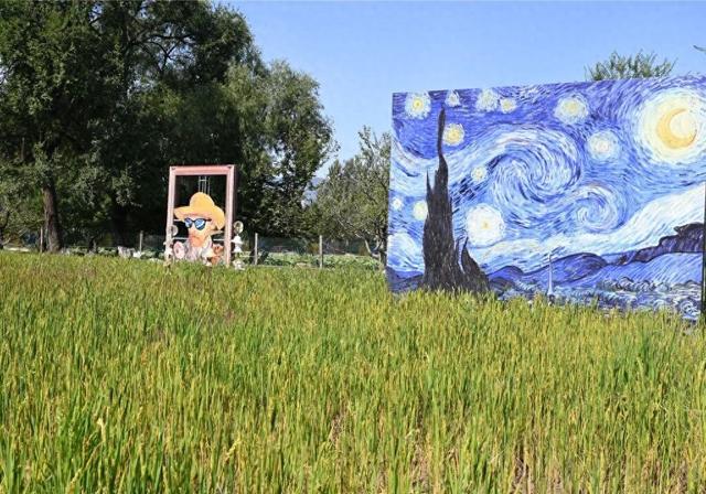 抓螃蟹、割稻子、做稻草人……就在海淀这个稻田艺术节——
