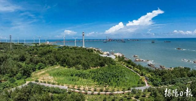 美出圈！快看揭阳海洋生态修复新画卷→