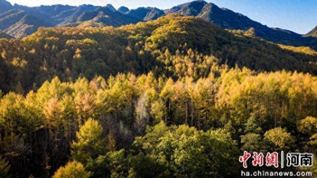 河南洛阳：白云山秋景如画