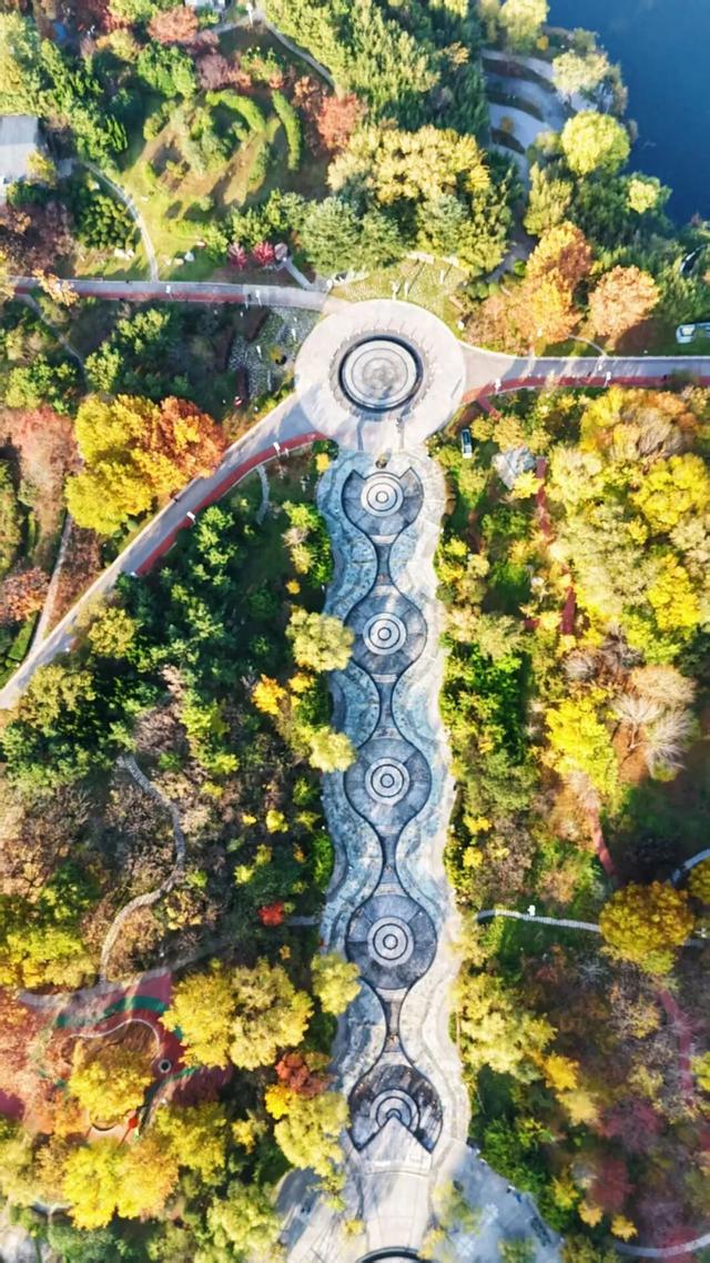 什么？日照这里有一群“小精灵”？！