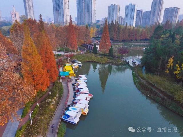 一分钟！我要知道日照这里的所有信息→