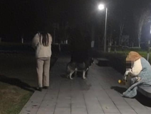 女子遛狗不牵绳，男子质问反被打成轻伤，二审判了 伤者：还将提起民事诉讼索赔