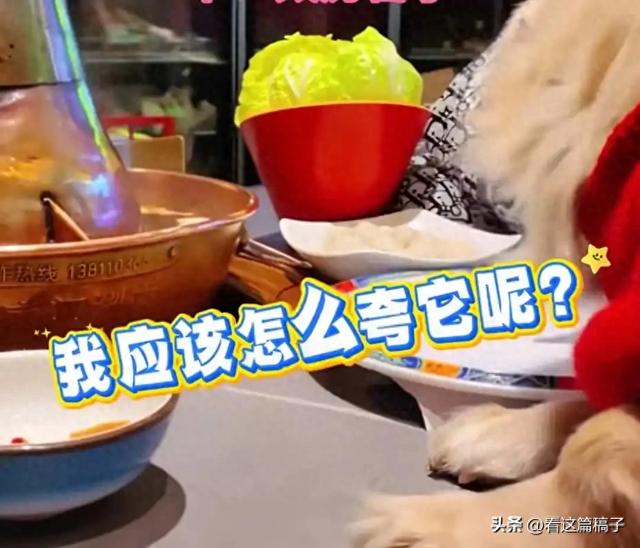 笑死！让狗上桌吃涮肉的女子晒和解书，结果店家马上打了她的脸