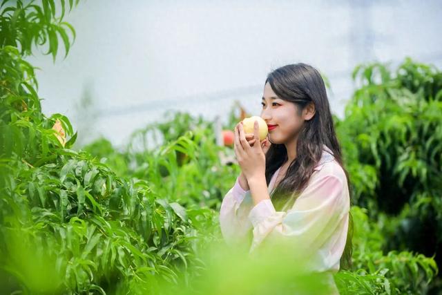一口甜蜜，一生心怡~新沂暑期农旅采摘指南请查收