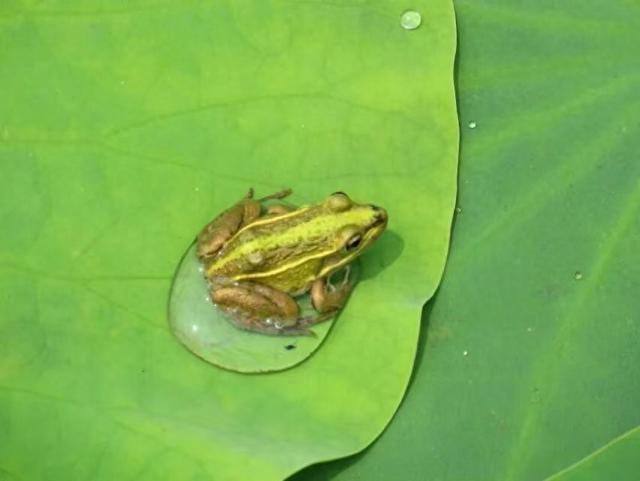 妙联趣对“东西	”