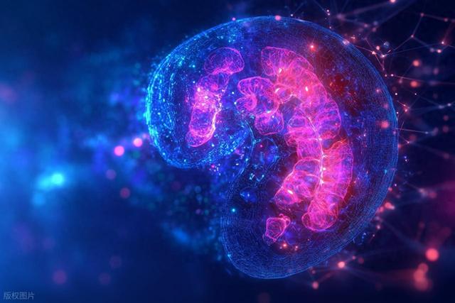 英国科学家新突破：超分子纳米药物逆转阿尔茨海默病病理