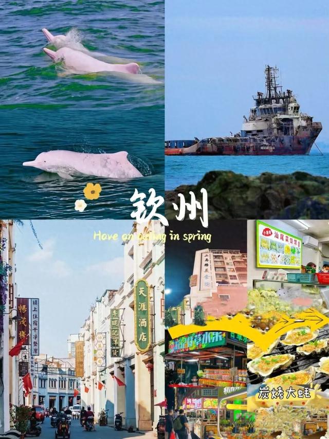5条精品路线，带你“双节”玩转钦州！
