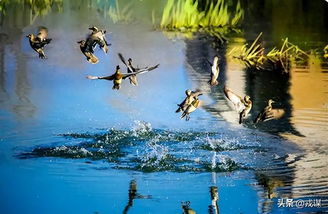 资本喊的绿色环保是骗局？颠覆现有经济模式，才能避免人类灾难！