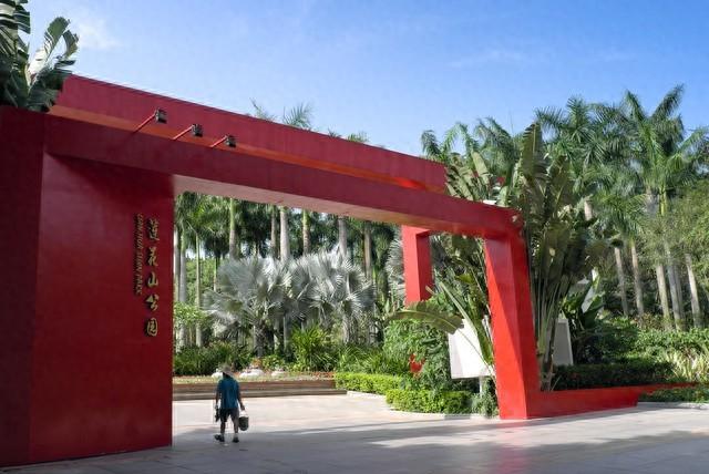 【深圳人私藏的“桃花源”被我曝光了】莲花山公园遛娃赏花全攻略