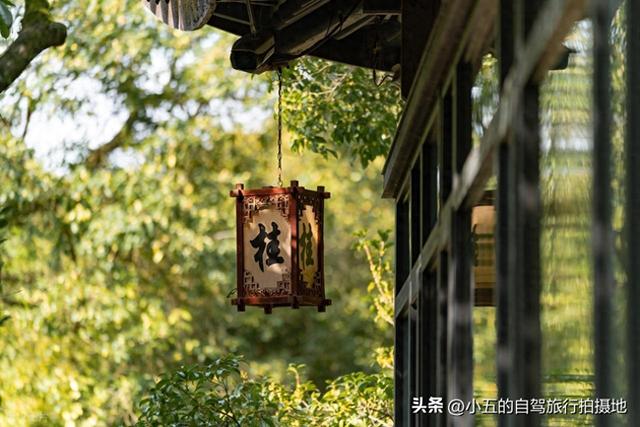 杭州满觉陇桂花攻略｜懒人版赏花路线，甜香里躺平整个秋天