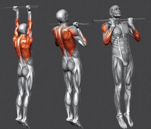 引体向上30个训练方法（引体向上一个效果被低估的动作附从0到1的训练攻略）