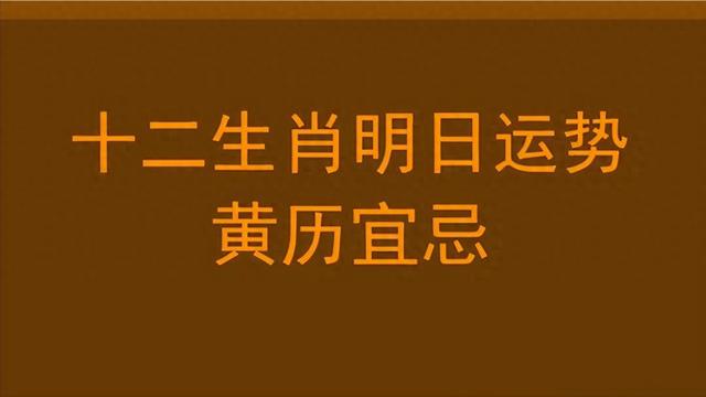 2023年5月份黄历（2023年12月5日 十二生肖黄历运势）