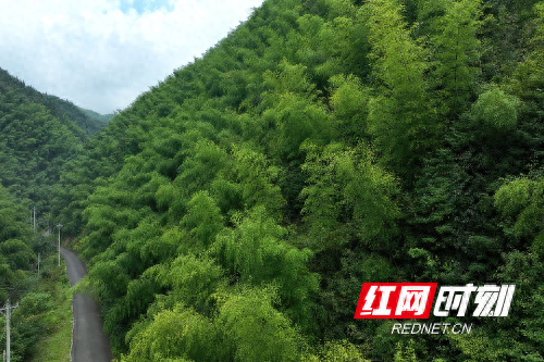 溆浦县中都乡：初秋避暑胜地 藏在山水间的 “天然空调”