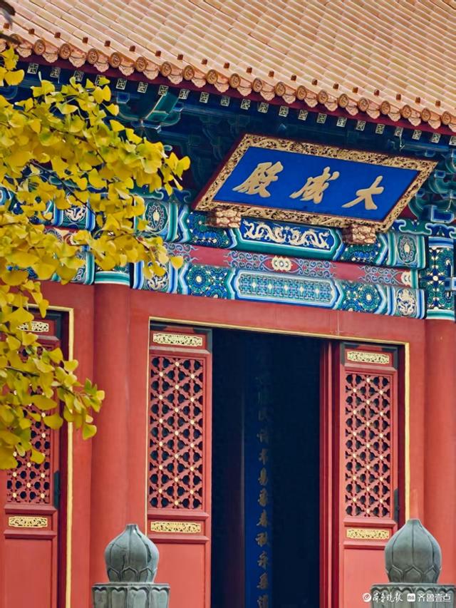 文庙秋韵，金叶叩红墙