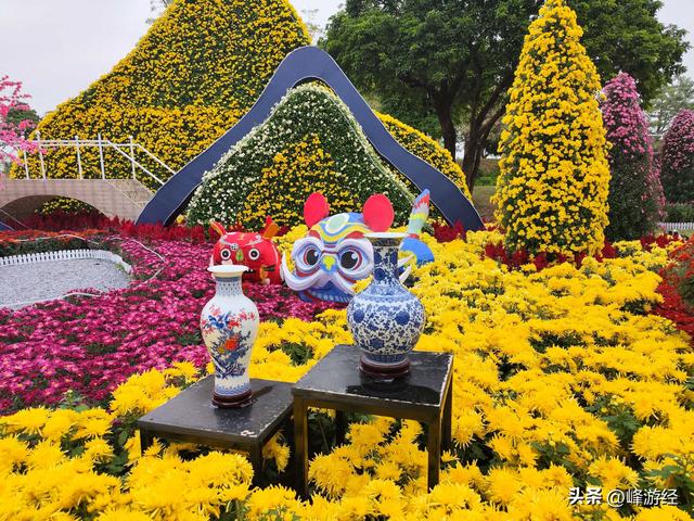 逛小榄菊花会，百年非遗绽新姿，寻味菊花特色美食