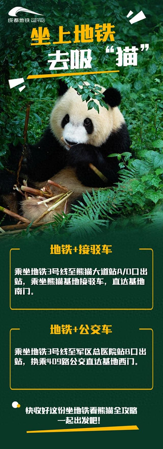 坐地铁看熊猫攻略来了！
