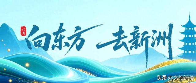 新洲梅花抢先打卡！抓住冬日第一抹绽放的色彩