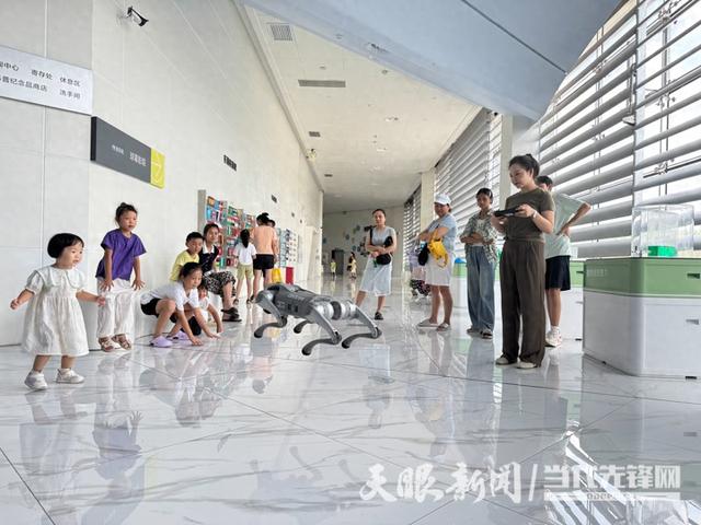 暑期亮点！遵义市科技馆机器人与机器狗成为“萌趣担当”