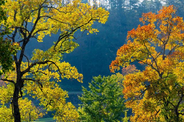 大别山中徐凤冲