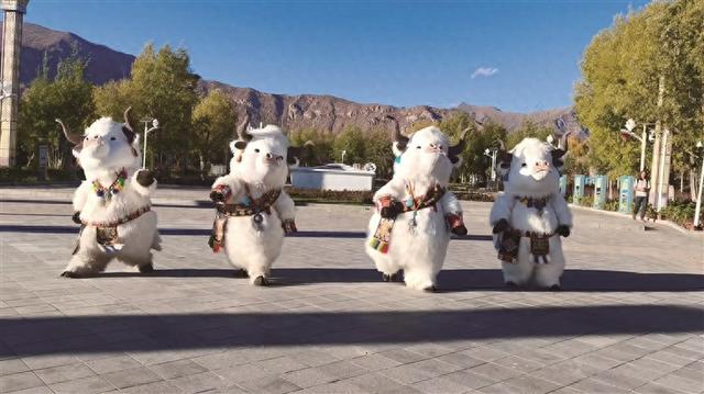 拉萨河“牦牛天团”打卡热潮点燃高原夜经济