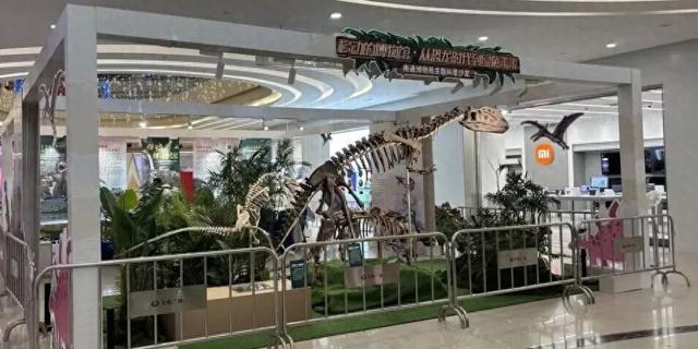 纷纷打卡！国庆首日，“恐龙展”走进商圈