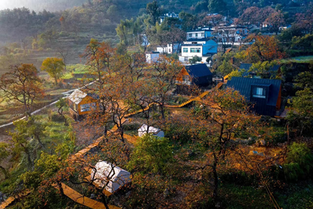 5G点亮“柿里牧歌”——中国电信极速建网破解景区通信瓶颈