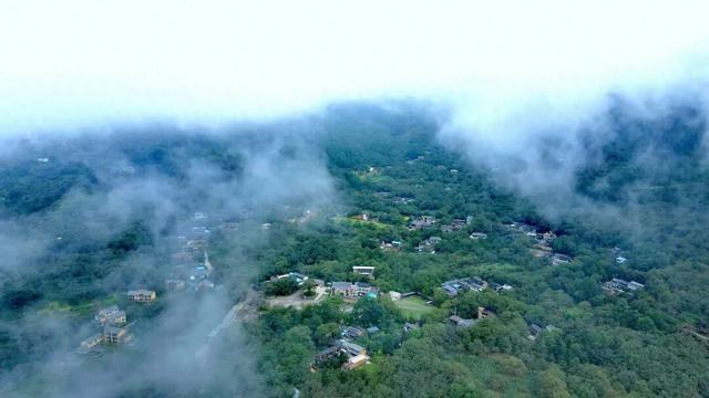 「听 · 吧」云裹核香漫山来