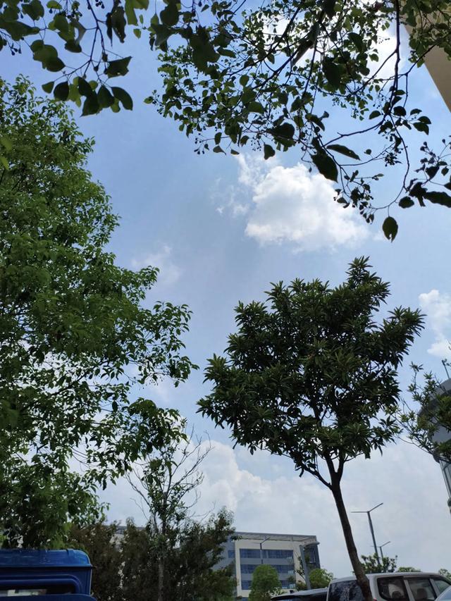 夏日的云淡风轻