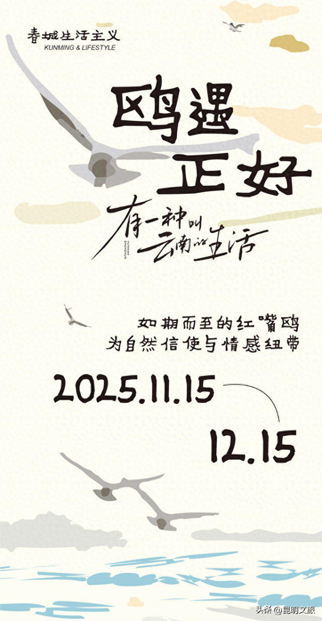 活动预告 | 春城生活主义 ·「 鸥遇正好 」