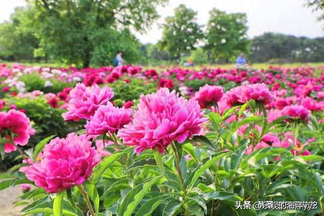 婚姻就这三件事：吃睡聊，爱自己才是终极依靠