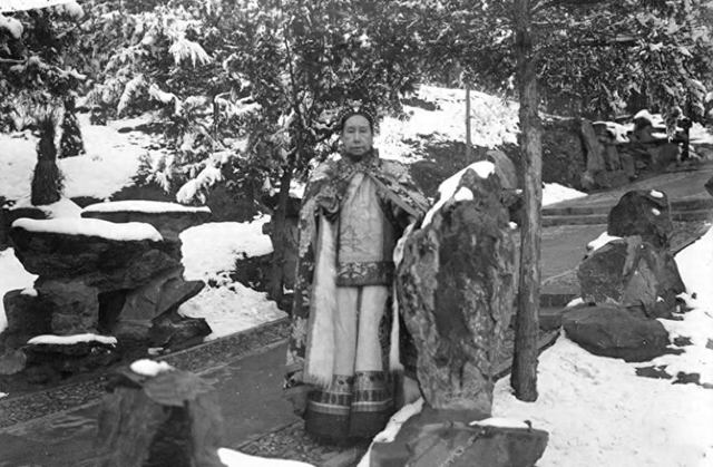 你有没有听过金丝楠木的传说？有人说它千年不腐，能值好几个亿！