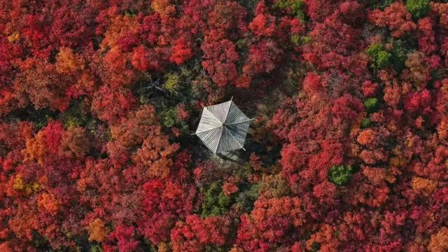 巩义青龙山的秋天美成壁纸,随手一拍都是大片!