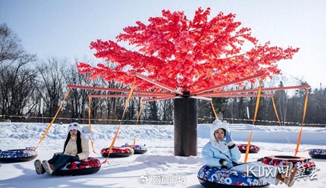 2026廊坊国际年货节冰雪专场邀您共赴冬日之约