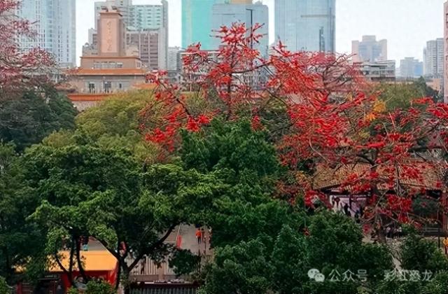 广州遛娃新灵感！三条私藏周末路线，好玩不累，赶紧收藏！