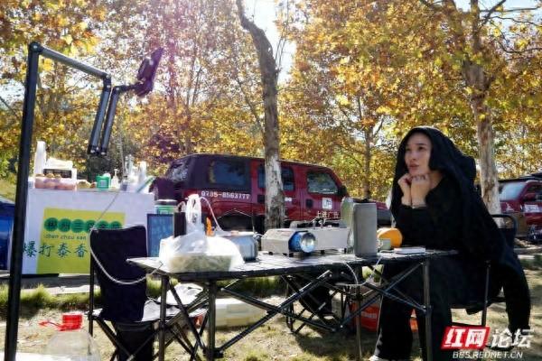 郴州这条黄叶道火了！露营放风筝，烟火气裹满暖意