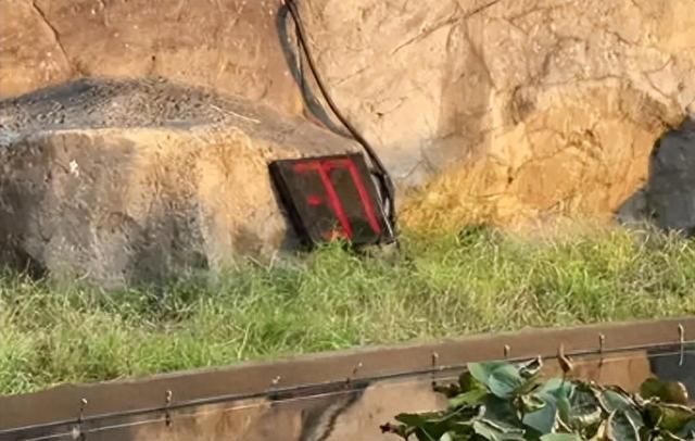 景区限时一分钟拍照，把旅行真正还给“体验”