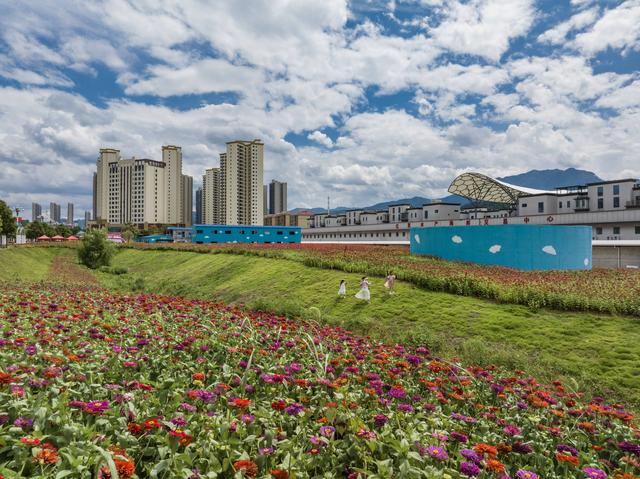 图说 |小公园内花开正艳 吸引众多市民游客前来赏花拍照游玩