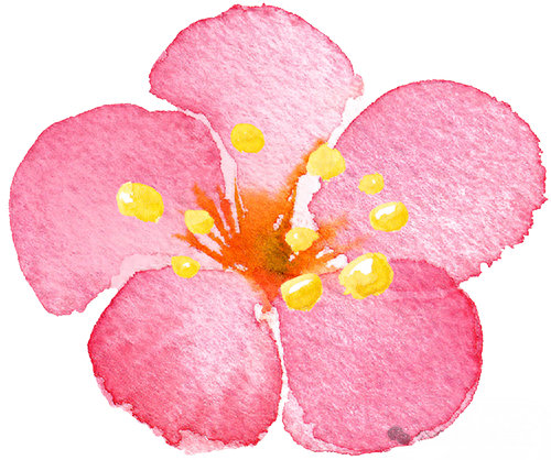 美翻啦！福州这里梅花初绽，等你来赏！