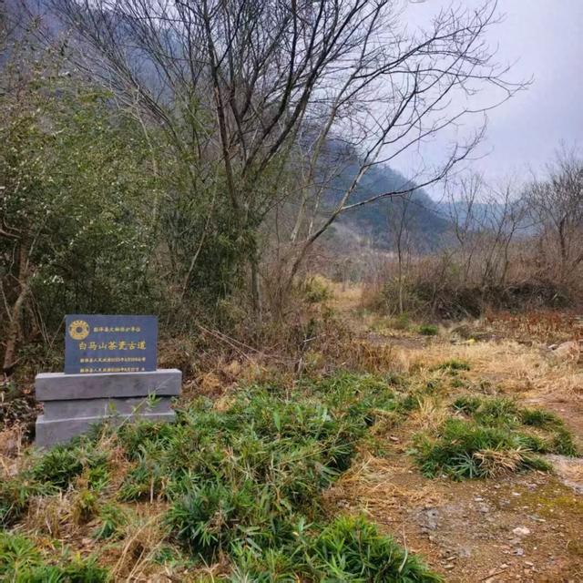 九江文史 | 古道“溪”风瘦马 小桥流水“商”家