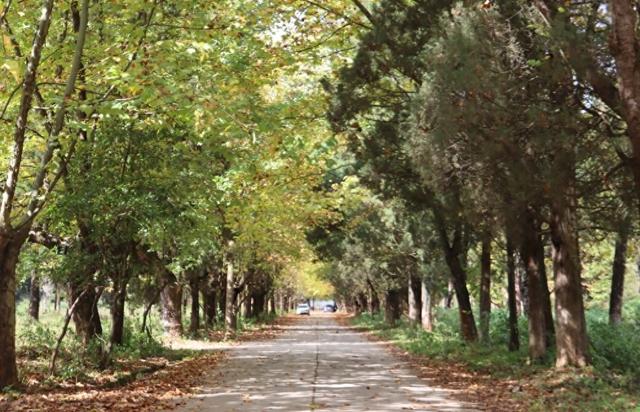 贯彻全会精神 云岭一线见闻